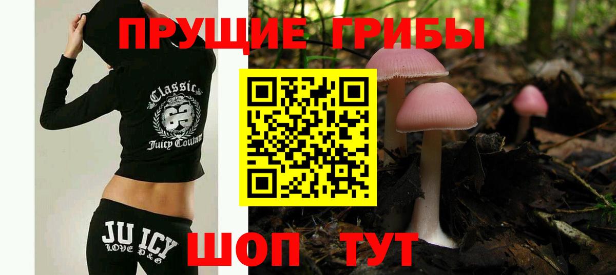 Псилоцибиновые грибы MAGIC MUSHROOMS  Вход с VPN  дарнет шоп  Галлюциногенные грибы прущие грибы  Омск 